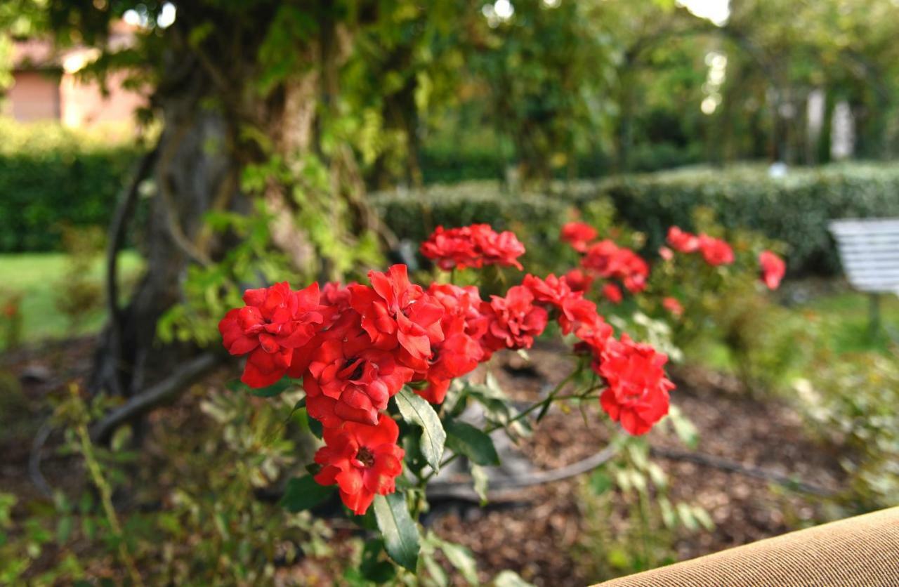 Agriturismo Argaland Parma Eksteriør billede